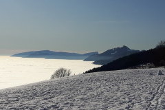 Mauborget (VD), le 01 janvier 2020