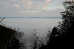 Col de la Tourne (NE), le 23 janvier 2020
