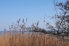 Cortaillod (NE), le 07 avril 2020