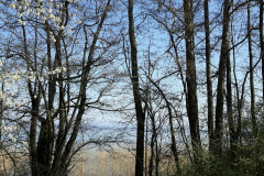 Cortaillod (NE), le 07 avril 2020