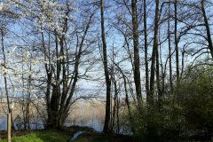 Cortaillod (NE), le 07 avril 2020