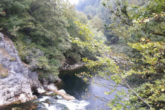 Gorges de l'Areuse (NE), le 19 septembre 2020