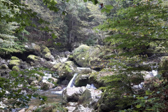 Gorges de l'Areuse (NE), le 19 septembre 2020
