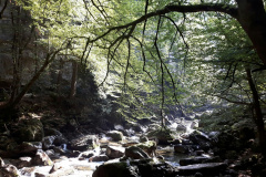 Gorges de l'Areuse (NE), le 19 septembre 2020