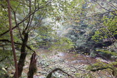 Gorges de l'Areuse (NE), le 19 septembre 2020