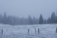Les Bayards (Val-de-Travers, NE), le 26 octobre 2020