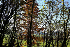 Communal du Locle, le 31 octobre 2020