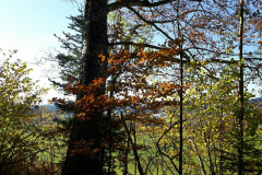 Communal du Locle, le 31 octobre 2020