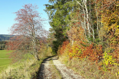 Communal du Locle, le 31 octobre 2020