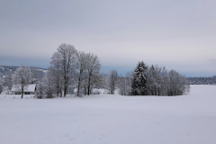 Le Locle, le 05 décembre 2020