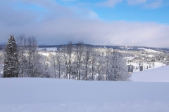 Le Locle, le 30 décembre 2020