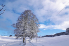 Le Locle, le 30 décembre 2020