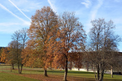 Communal du Locle, le 28 octobre 2021