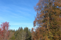 Communal du Locle, le 28 octobre 2021