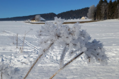 Lac des Taillères (NE), le 23 janvier 2022