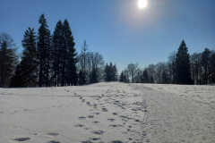 Col de la Tourne (NE), le 13 février 20222