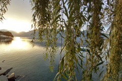 Locarno (TI), le 20 octobre 2022