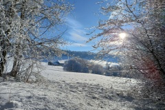 Le Locle, le 03 décembre 2023
