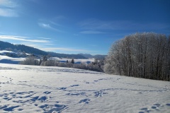 Le Locle, le 03 décembre 2023