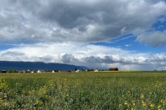 Seiry (FR), le 21 avril 2024