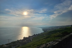Le Lavaux (VD), le 31 août 2024