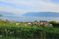 Le Lavaux (VD), le 31 août 2024