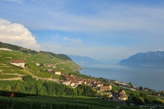 Le Lavaux (VD), le 31 août 2024