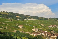 Le Lavaux (VD), le 31 août 2024