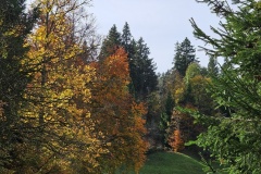 Le Communal du Locle, le 20 octobre 2024