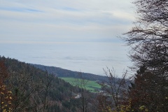 La Tourne (NE), le 06 novembre 2024