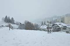 Le Locle, le 21 novembre 2024
