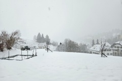Le Locle, le 22  décembre 2024