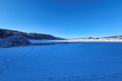 Lac des Taillères (La Brévine, NE), le 30 décembre 2024