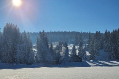 Lac des Taillères (La Brévine, NE), le 30 décembre 2024