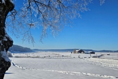 Lac des Taillères (La Brévine, NE), le 30 décembre 2024