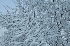 Le Locle, le 03 janvier 2025