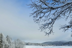 Le Locle, le 03 janvier 2025