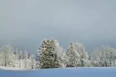 Le Locle, le 03 janvier 2025