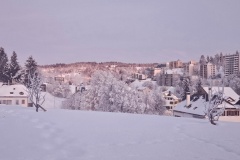 Le Locle, le 04 janvier 2025