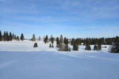 La Robella (NE), le 04 janvier 2025
