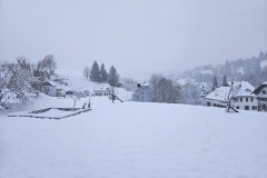Le Locle, le 26 février 2025