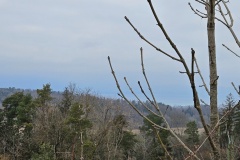 Seiry (FR), le 02 mars 2025