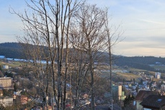 Le Locle, le 08 mars 2025
