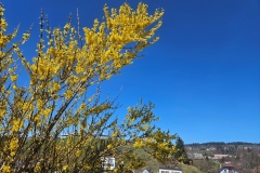 Le Locle, le 10 avril 2025