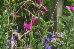 Le Locle, le 09 juillet 2025