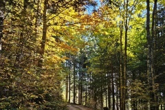La Grande-Joux (NE), le 11 octobre 2025