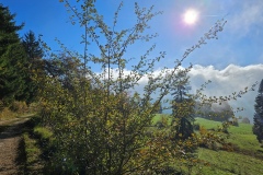 La Grande-Joux (NE), le 11 octobre 2025