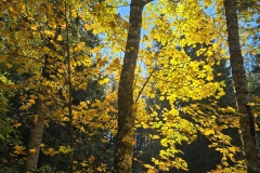La Grande-Joux (NE), le 11 octobre 2025