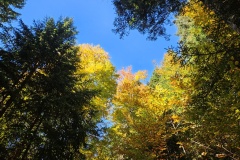 La Grande-Joux (NE), le 11 octobre 2025