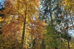 Communal du Locle, le 18 octobre 2025